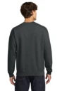 Back model photo