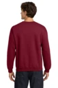 Back model photo