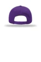 Back product photo