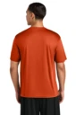 Back model photo