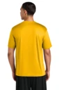 Back model photo