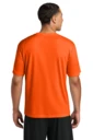 Back model photo