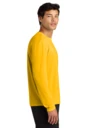 Side model photo