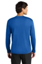 Back model photo