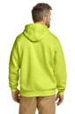 Back model photo