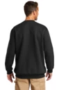 Back model photo