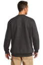 Back model photo