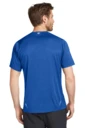 Back model photo