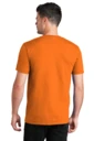 Back model photo