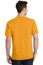 Back model photo
