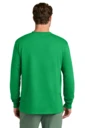 Back model photo