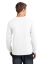 Back model photo