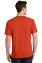 Back model photo