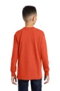 Back model photo