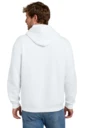 Back model photo