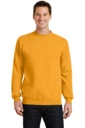 Front model photo