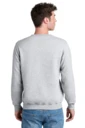 Back model photo