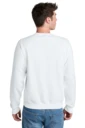 Back model photo