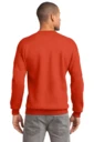 Back model photo