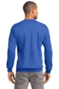 Back model photo