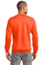 Back model photo