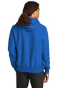 Back model photo