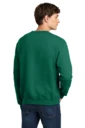 Back model photo