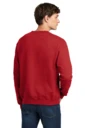 Back model photo