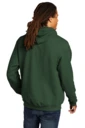 Back model photo