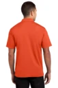 Back model photo
