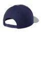 Back product photo