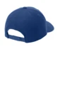 Back product photo