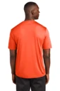 Back model photo