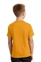 Back model photo