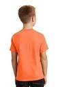 Back model photo