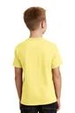 Back model photo