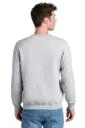 Back model photo