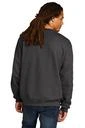 Back model photo