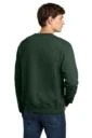 Back model photo