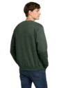 Back model photo