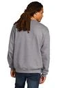 Back model photo