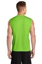 Back model photo
